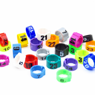 Jelölő gyűrű galambjelölő Ø 24 mm pattintós 1-10-ig számozott - fluor zöld