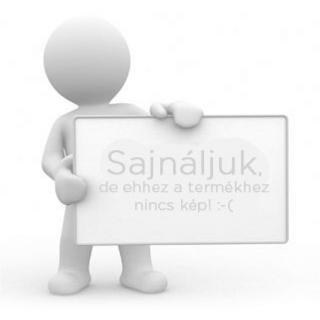 Metallkraft Fémipari szalagcsiszológép MBSM 75-203-2 (400V)