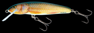 Salmo Minnow M7F RR (7cm - Úszó)