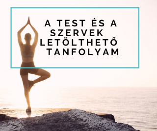 A test és a szervek - Online meditációs tanfolyam, letölthető