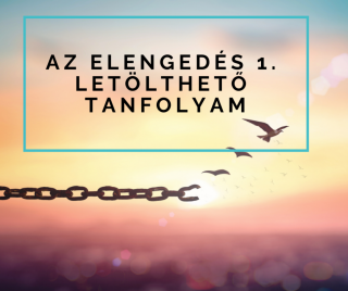 Az elengedés 1. - letölthető online meditációs tanfolyam -