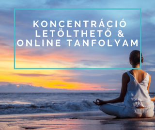 Koncentráció - letölthető  online tanfolyam