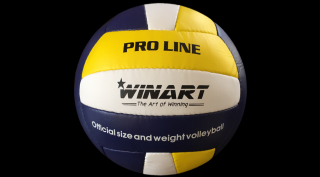 Röplabda WINART PRO LINE No.5