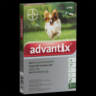 Advantix spot on 4 kg alatti kutyák részére 4 db/doboz