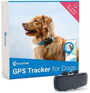 Tractive nyomkövető GPS kutyáknak