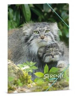 A/4 gumis mappa, Serenity-Manul