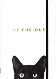 vonalas napló, Curious Cat
