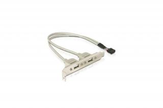 Delock Hátlapi Kivezetés - 71000 (1x belső USB 9tűs > 2x USB2.0 külső)