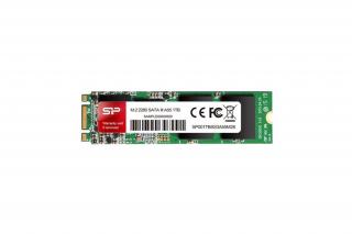 Silicon Power SSD - 256GB A55 (MLC, r:560 MB/s; w:530 MB/s, M.2 SATA)