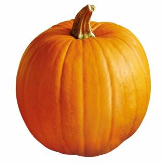 Aspen F1 Halloween tök vetőmag 100 szem