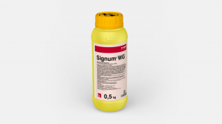 Signum 0,5kg