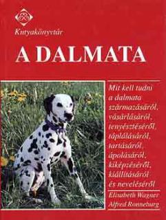 A dalmata