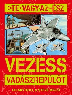 Te vagy az ész - Vezess vadászrepülőt