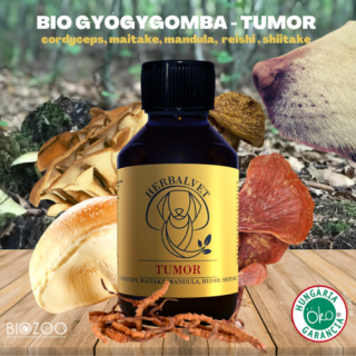 Bio Gyógygomba kutyáknak - Tumor 100 ml