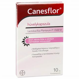 CANESFLOR HUVELYKAPSZULA 10X