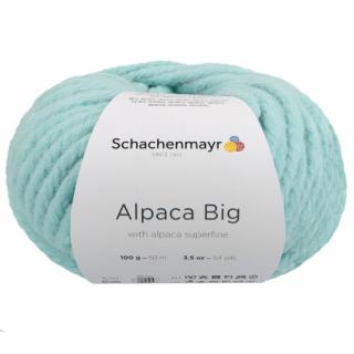 Alpaca Big - 065 - Menta