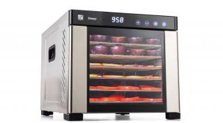 G21 Breezer gyümölcsaszaló, rozsdamentes acél BRZ-650W (6008112)