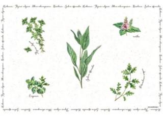 Herbarium mûanyag tányéralátét