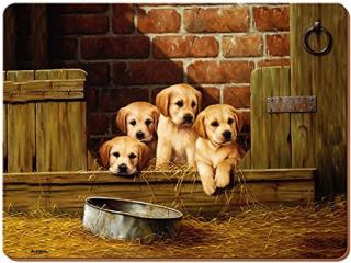 Labrador Puppies parafa tányéralátét 4 db-os.