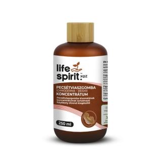 Life Spirit XQZ Pecsétviaszgomba koncentrátum 250 ml