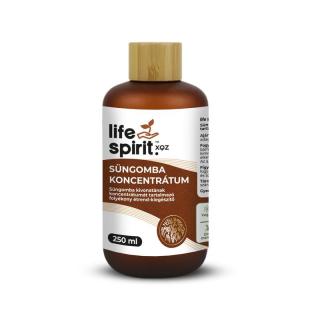 Life Spirit XQZ Süngomba koncentrátum 250 ml