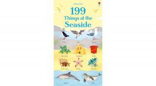 199 THINGS AT THE SEASIDE