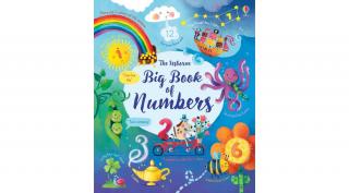 BIG BOOK OF NUMBERS