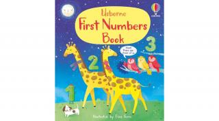 FIRST NUMBERS BOOK