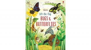 LIFT-THE-FLAP BUGS AND BUTTERFLIES