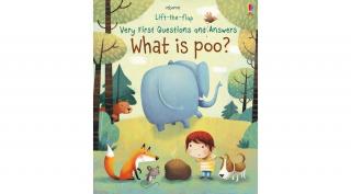 LIFT-THE-FLAP VERY FIRST QUESTIONS AND ANSWERS - WHAT IS POO?