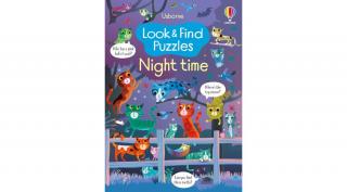 LOOK AND FIND PUZZLES NIGHT TIME