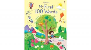 MY FIRST 100 WORDS