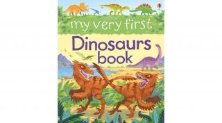 MY VERY FIRST DINOSAURS BOOK