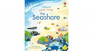 PEEP INSIDE THE SEASHORE