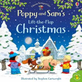 Poppy and Sam's lift-the-flap Christmas - SZÉPSÉGHIBÁS TERMÉK