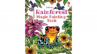 Rainforest Magic Painting Book