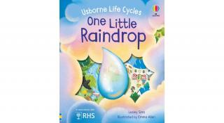 USBORNE LIFE CYCLES - ONE LITTLE RAINDROP