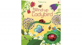 WIND-UP LADYBIRD - SZÉPSÉGHIBÁS TERMÉK