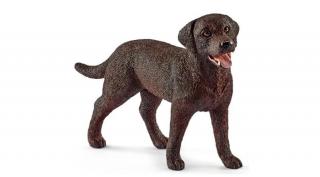 LABRADOR RETRIEVER, SZUKA SCHLEICH