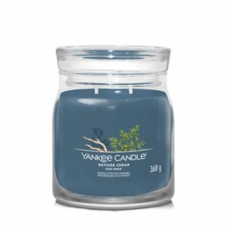 TWILIGHT TUNES SIGNATURE KÖZEPES ÜVEGGYERTYA, Yankee Candle