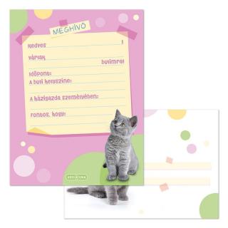 Ars Una Cuki állatok-Brit rövidszőrű macska partimeghívó borítékkal