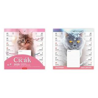 Falinaptár mágneses TOPTIMER Cicák 2025