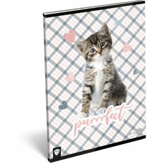 Füzet tűzött A/5 Kis Bagoly Purrrfect Lizzy Card - sima