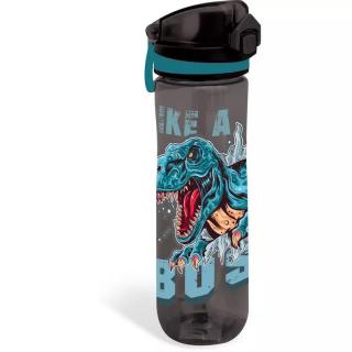 Kulacs 600ml prémium dínós mintával Dino Cool Boss Lizzy Card