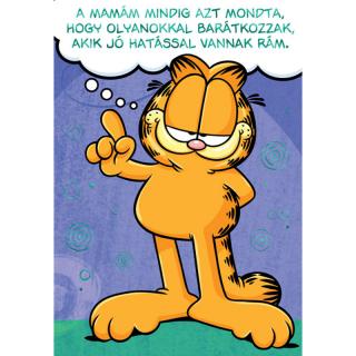 Üdvözlőlap képeslap Cardex legjobb barát vicces humoros Garfield I