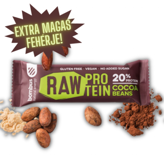 Raw Protein Bar 50 g szelet - többféle ízben