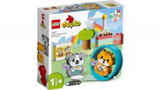 LEGO® DUPLO® - Első kutyusom és cicám (10977)