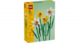 LEGO® Seasonal - Nárciszok (40747)
