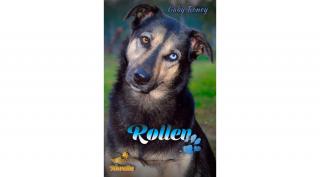 Gaby Roney - Rollen ( ebook novella )