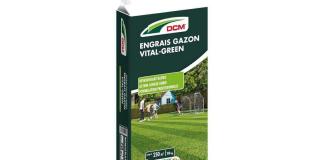 DCM Vital Green tavaszi gyeptáp 10 kg